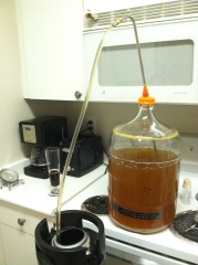 Racking the Passion Fruit Wheat to Keg